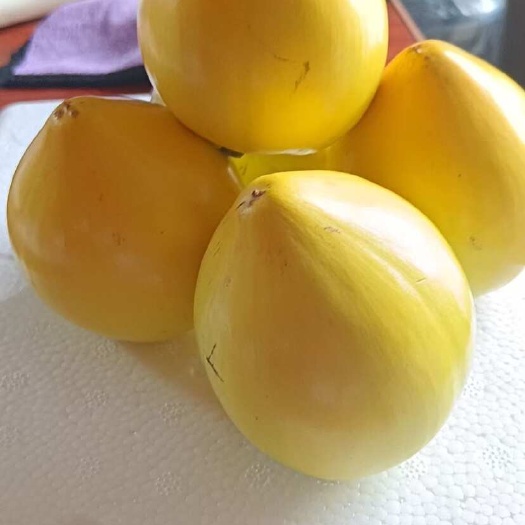 龙州县鸡蛋果