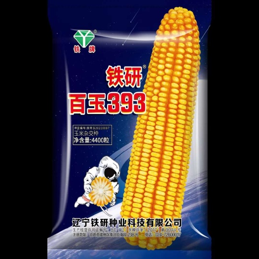 沈阳铁研百玉393抗倒扶正品一袋一码产量高
