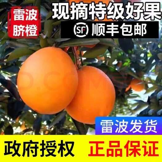 雷波县正宗大凉山雷波脐橙顺丰送货上门，支持社区团购！