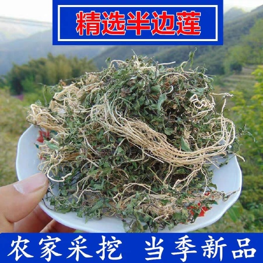 中药材半边莲半边连半边花500克g正品半边旗新货中草