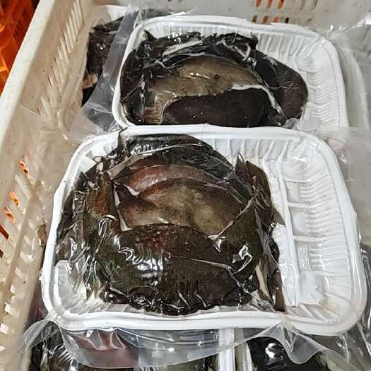 武汉正中生态养殖甲鱼肉肉