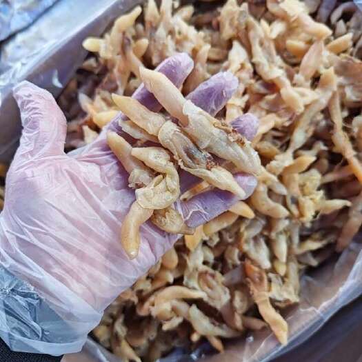 滨州蛏干 蛏子干