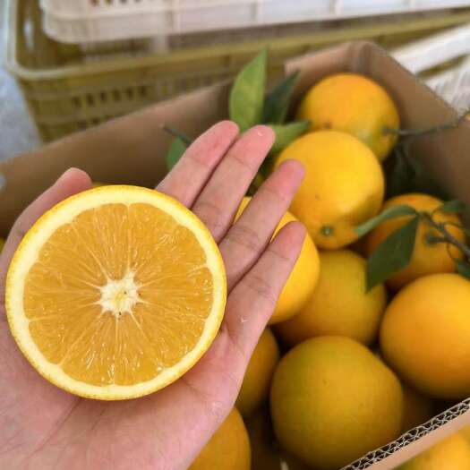 信丰县江西赣南脐橙皮薄多汁果园直供不容错过