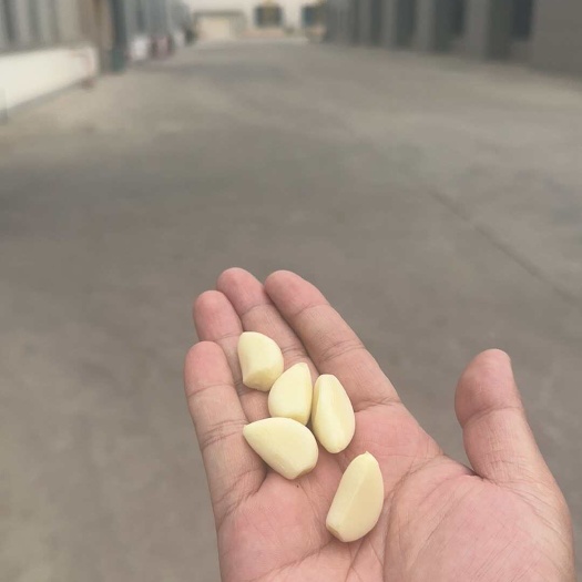邳州市保鲜蒜米 大型加工企业和餐饮中央厨房专用