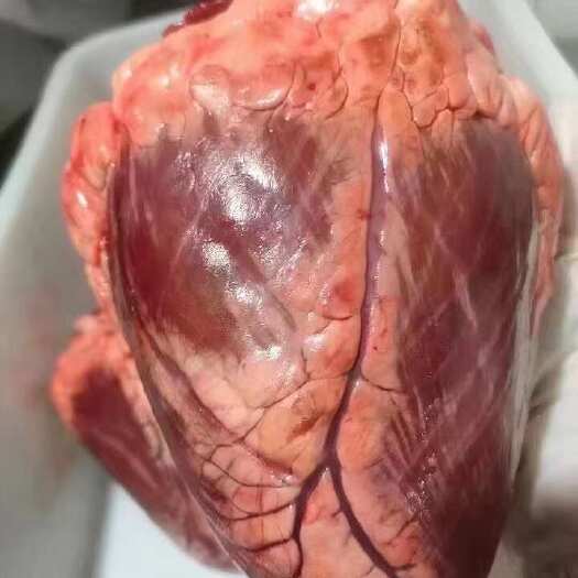 汕头牛心