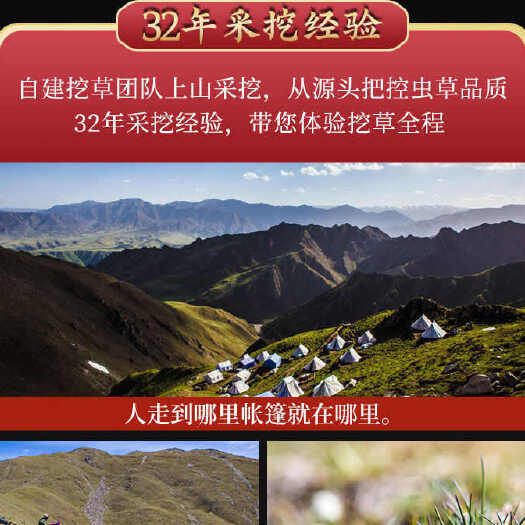 比如县冬虫夏草1g克西藏那曲虫草精选3根4根瓶装头期虫草干货