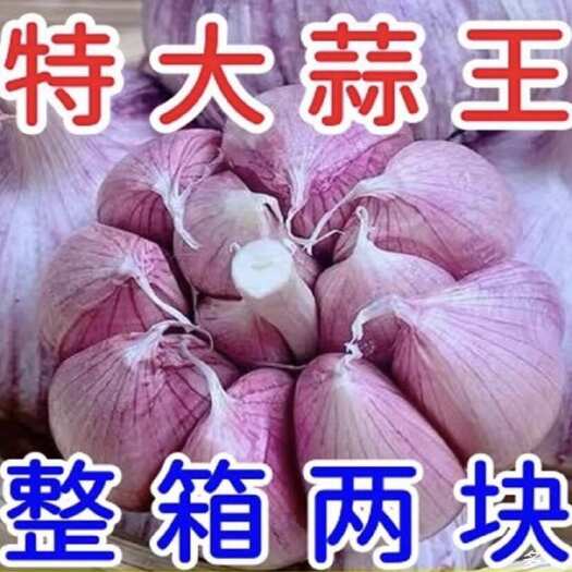 邳州市大蒜头子统一大果