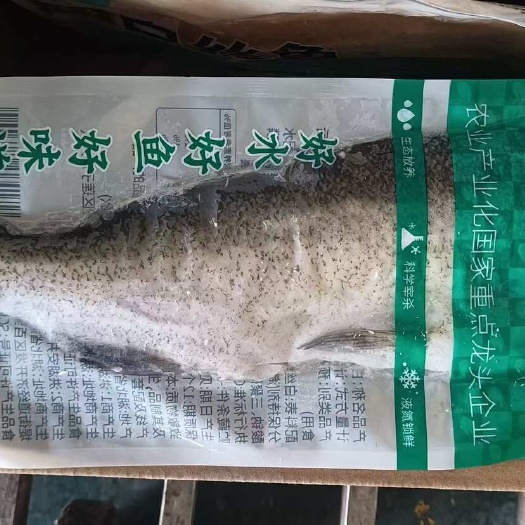 洪湖市安井洪湖诱惑半边大白刁白丝刁子鱼翘嘴鱼新鲜腌制冷冻半成品食材