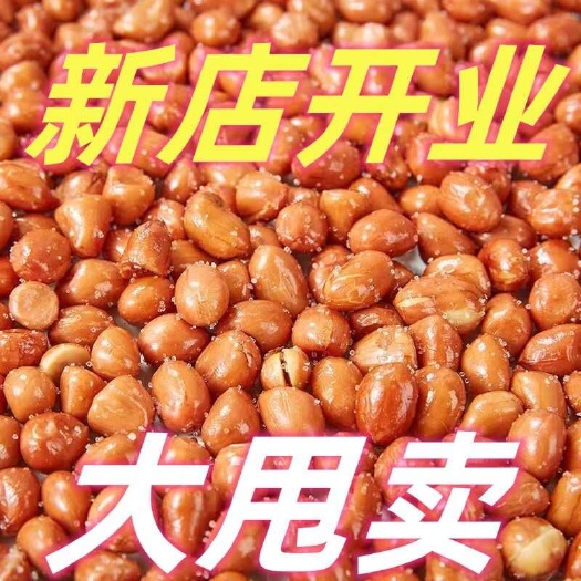 临沭县整箱香酥油炸花生米花生红皮咸味原味商用下酒菜零食餐饮散装批发