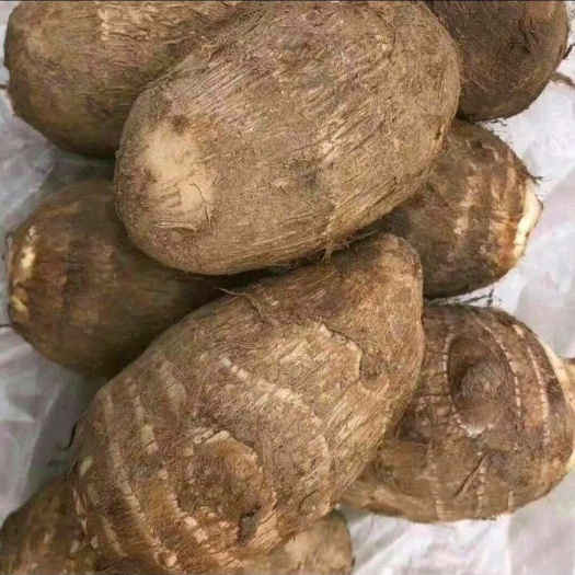 【推荐】-8520毛芋头 产地供应 对接市场电商 全国发货
