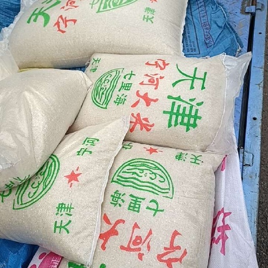 天津天津小站米u99新米宁河特产