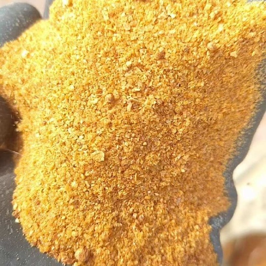 石家庄“DDGS”纯玉米酒糟，