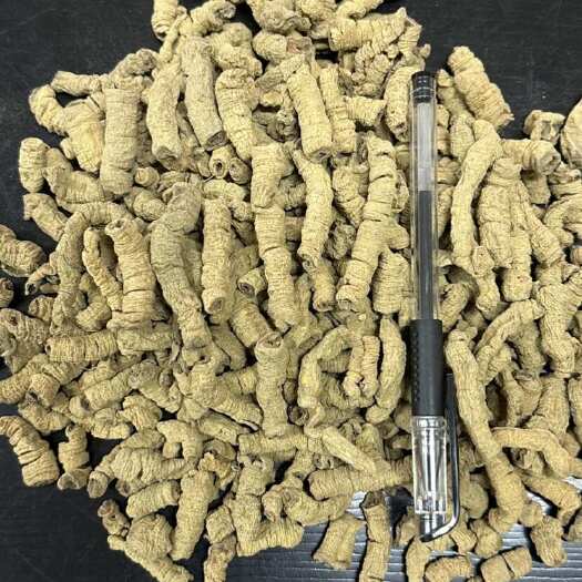 昆明巴戟天 大货批发 一手货源
