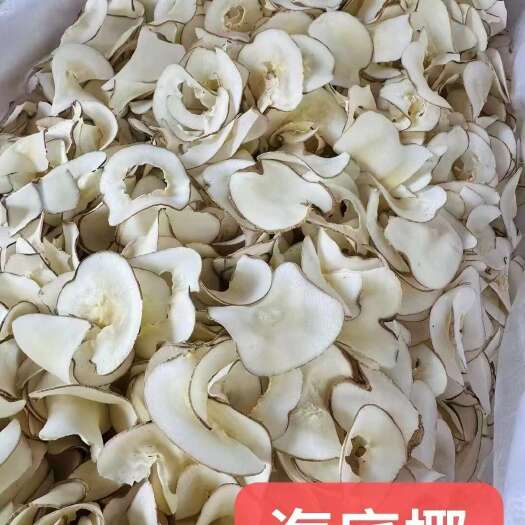玉林源头海底椰片散装批发干货海底椰干片