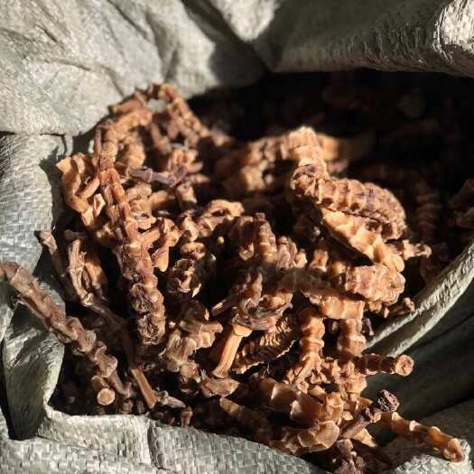 长沙云南原产地，干地参出售，一手货源量大量少都可发货