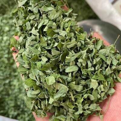遂溪县新鲜鸡骨草叶