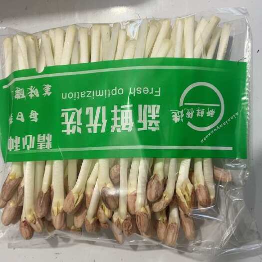嘉祥县花生芽新鲜蔬菜水培花生芽甜脆爆炒火锅生鲜