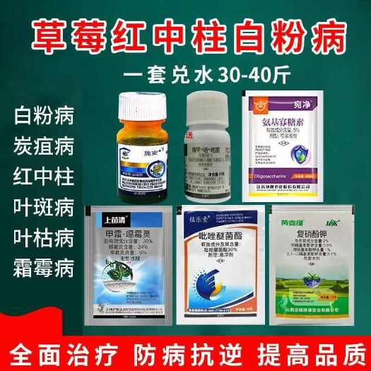 诸城市大棚草莓红中柱白粉病专用套餐叶斑病角斑病炭疽病细菌病害专用药