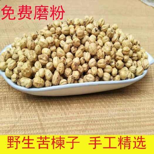 田东县苦楝子苦心 苦楝籽核楝果子 中药材苦楝子种子楝子豆手工金刚菩