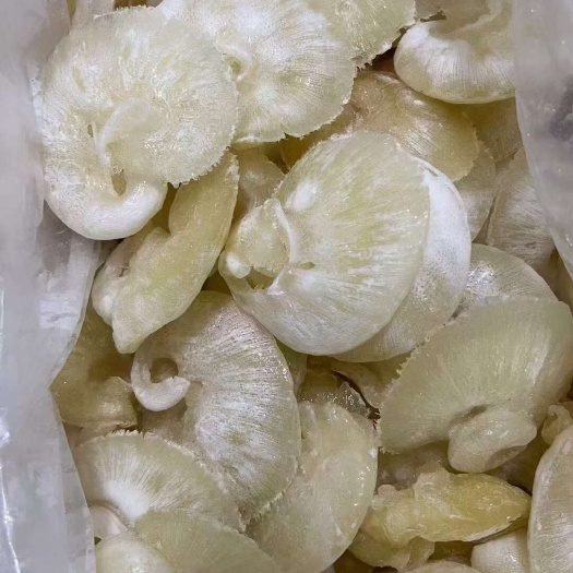 长沙鱼翅