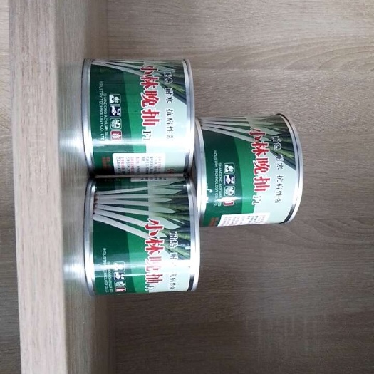 小林晚抽，耐寒性突出，适合春季至初夏收获的茬口栽培