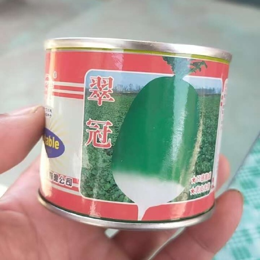 太原翠冠萝卜