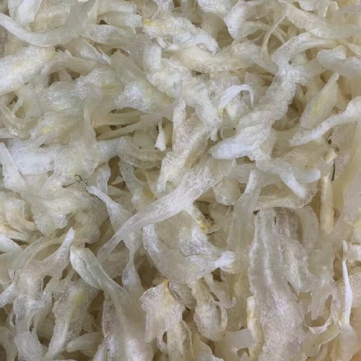 广州150头小龙胶花胶深海黄花胶产地直销干货鱼鳔酒店餐饮鱼胶