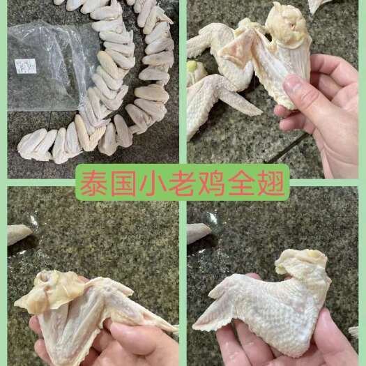 东莞市24斤319厂泰国小号老鸡全翅