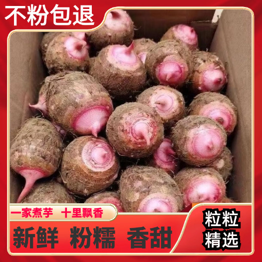 南宁广西红芽芋仔芋头香芋新鲜现挖当季芋头槟榔芋头紫藤芋3/5/斤