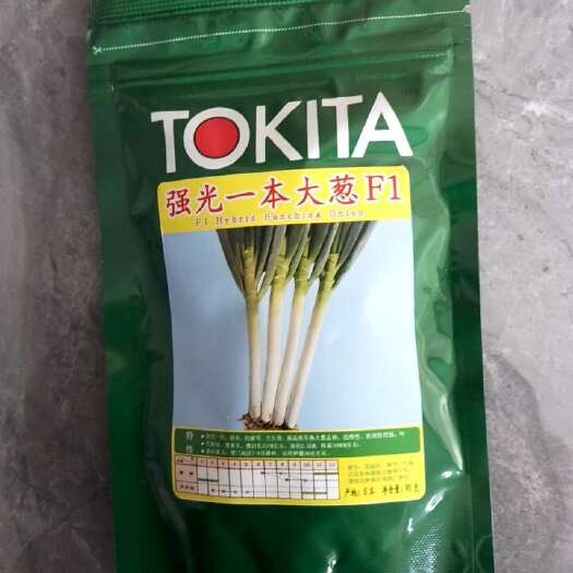 安丘市日本大葱种子