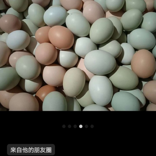 孝昌县散养生态土地蛋