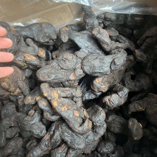 玉林九蒸九晒黄精中药材 滋补养生药材 玉州区新鲜发货