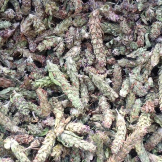 【药房品质】驻马店确山溯源直达，原生原色，优质中药材批发