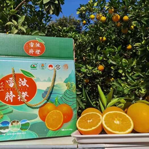 雷波县雷波脐橙