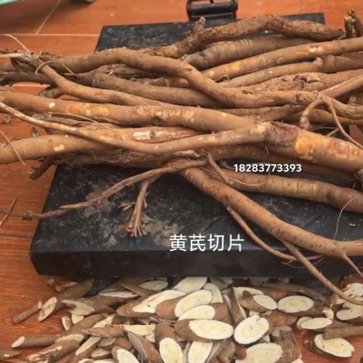 松潘县川西高原黄芪大量有货