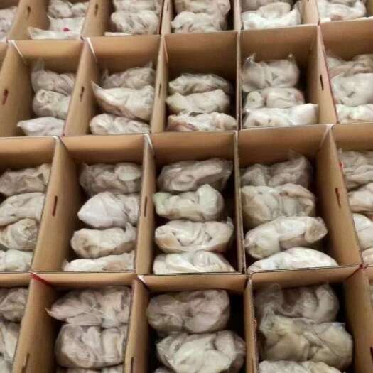 中牟县全熟羊肚