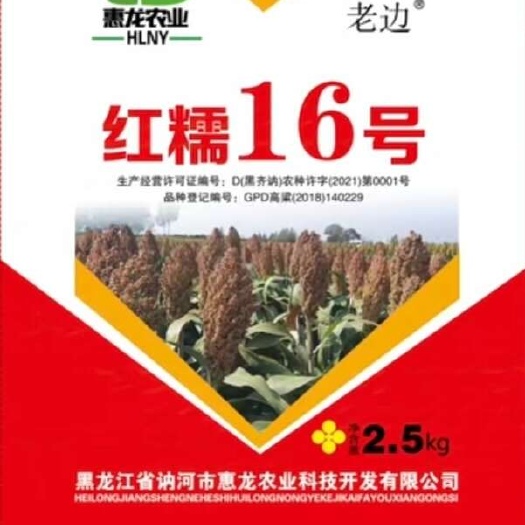 糯高粱红糯16号高粱种子2.5公斤装