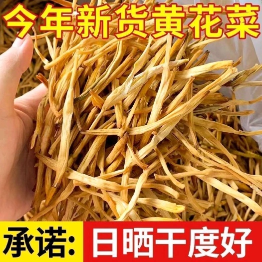黄花菜干货农家土特产日晒头茬金针菜火锅凉拌食材