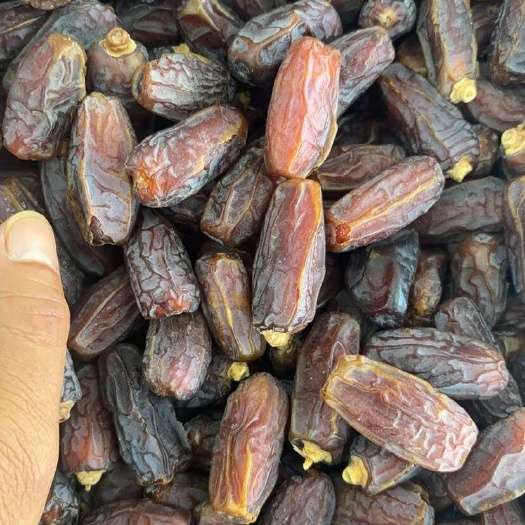 乌鲁木齐新疆椰枣