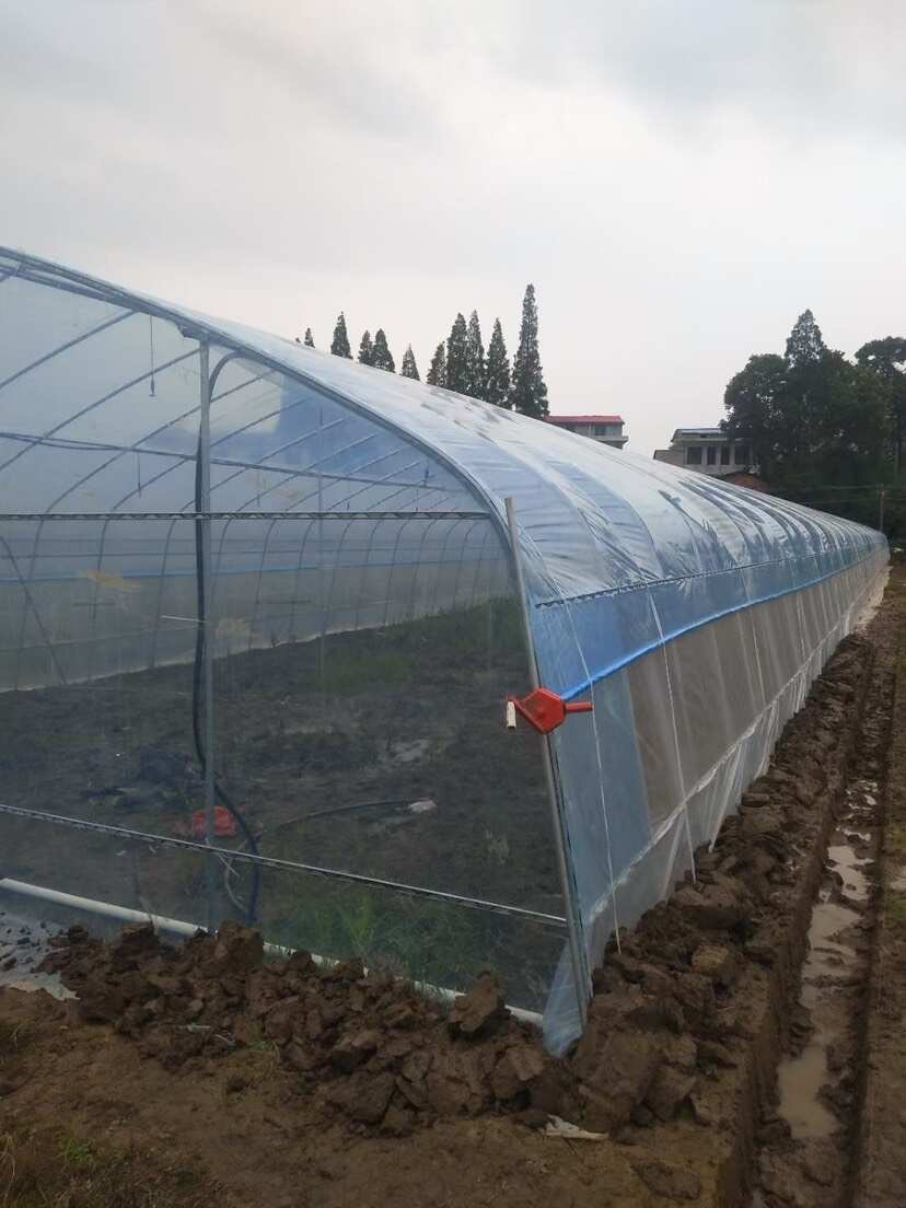 天津静海大棚压膜带 强韧耐用 农业种植好帮手