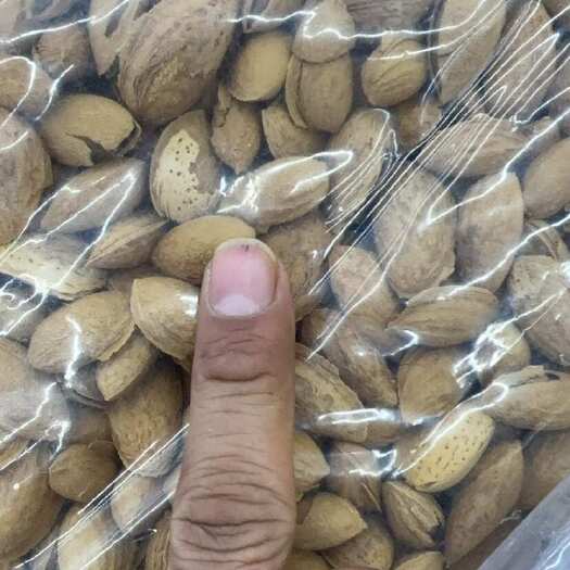 巴旦木