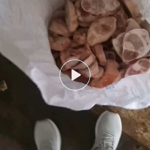 东莞市猪脚 鸡翅 鸡边腿 鸡胸 猪肘子 肘子圈 一起18吨  处理