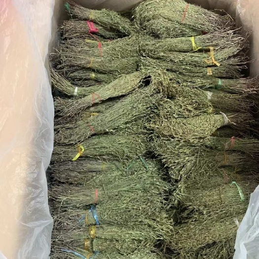 独脚金 青绿 好货 独脚金今年新货颜色青绿
