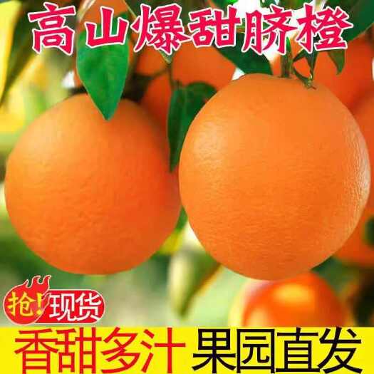 秭归县橙子秭归脐橙，海拔低，口感甜，一手货源支持视频看货