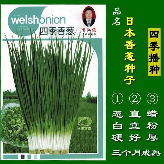 菏泽四季小葱种子 小香葱种子 香葱籽四季播种包邮