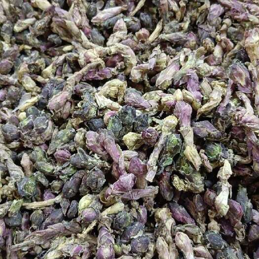 成都款冬花