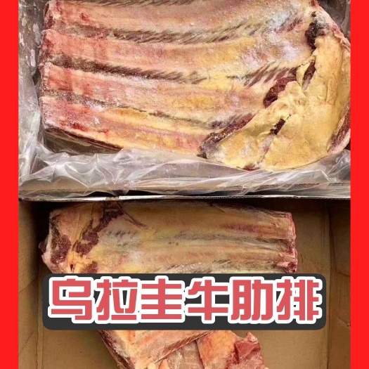 冷冻带骨牛肉 牛肋排 上海宝山发货 鲜嫩可口 牛肉优选