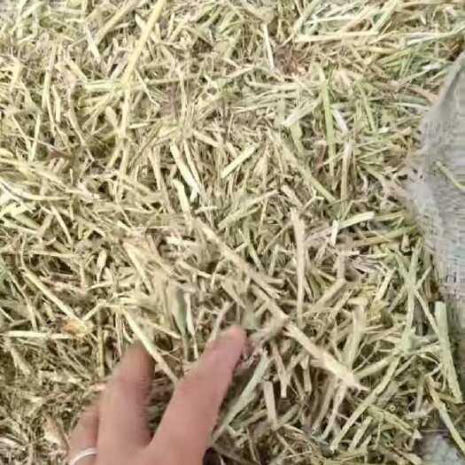 花生秧子草料