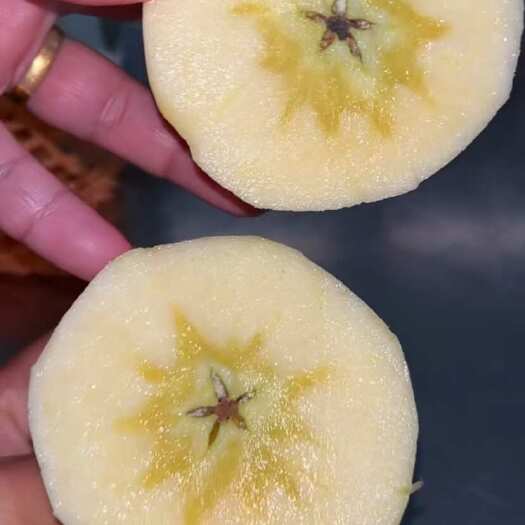 苹果