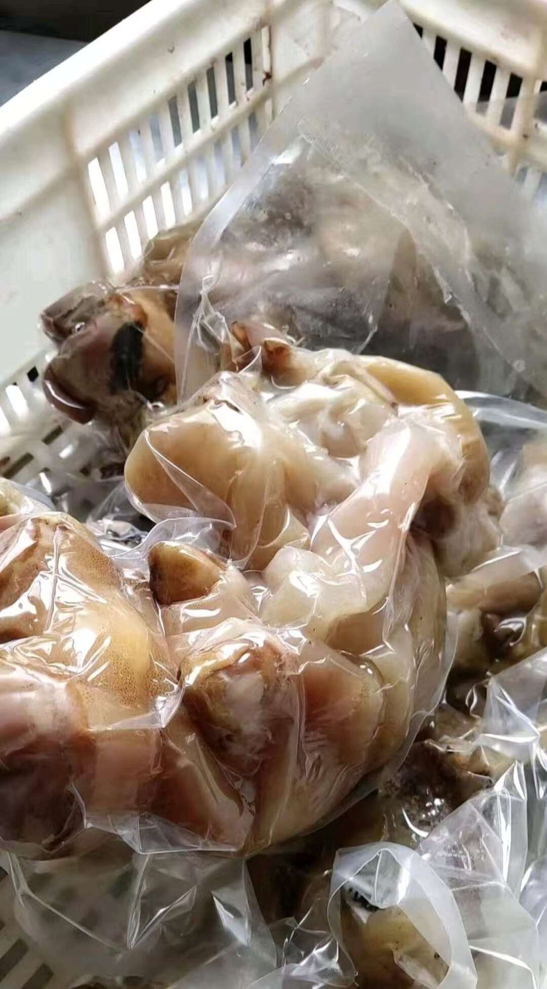 无棣县熟牛蹄筋 牛副产品 山东省滨州市无棣县发货 新鲜健康 可追溯